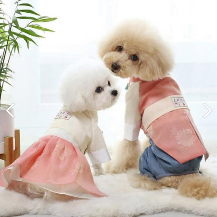 Puppy Eungabi Hanbok Set (Male)
