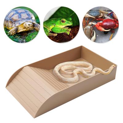Bol d'eau pour reptile Plaque d'alimentation pour tortue Piscine de bain pour tortue pour gecko léopard Dragon barbu Accessoires pour amphibiens