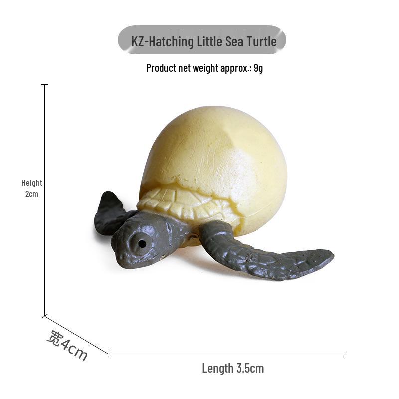 Children s Cognitive Marine Animal Models: Sea Turtle and Tortoise Toys