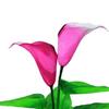 Aquarium Ornament Fadeless Aquatics Accessories Bright Color Simulation Flower Landscape Decor for Home