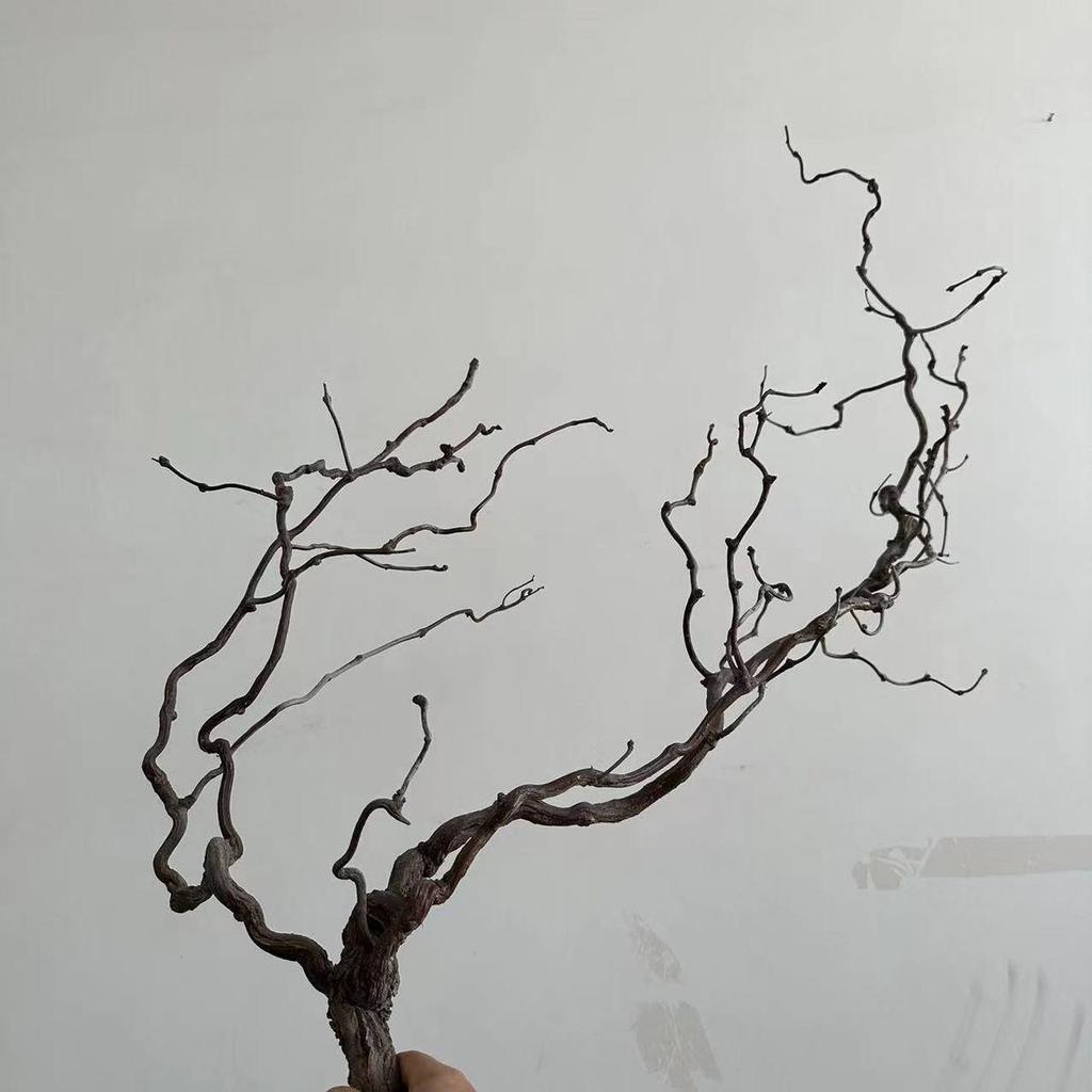 Asian-Inspired Floral Arrangement: Withered Jujube Branches for Home, Hotel, or B&B Decor