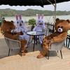 Cartoon Animal Mascot Costume