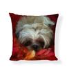 Cartoon Cute Dog Oil Double-Sided Printed Pillow Cover Short Plush Suitable Living Rooms Bedrooms Sofas Throw Cushion Cover
