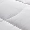Luolai Warm Ginger Antibacterial Heating Winter Quilt