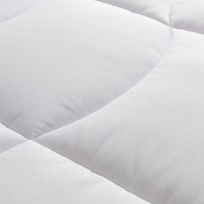 Luolai Warm Ginger Antibacterial Heating Winter Quilt