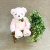 Wild Strawberry Bear S Pink