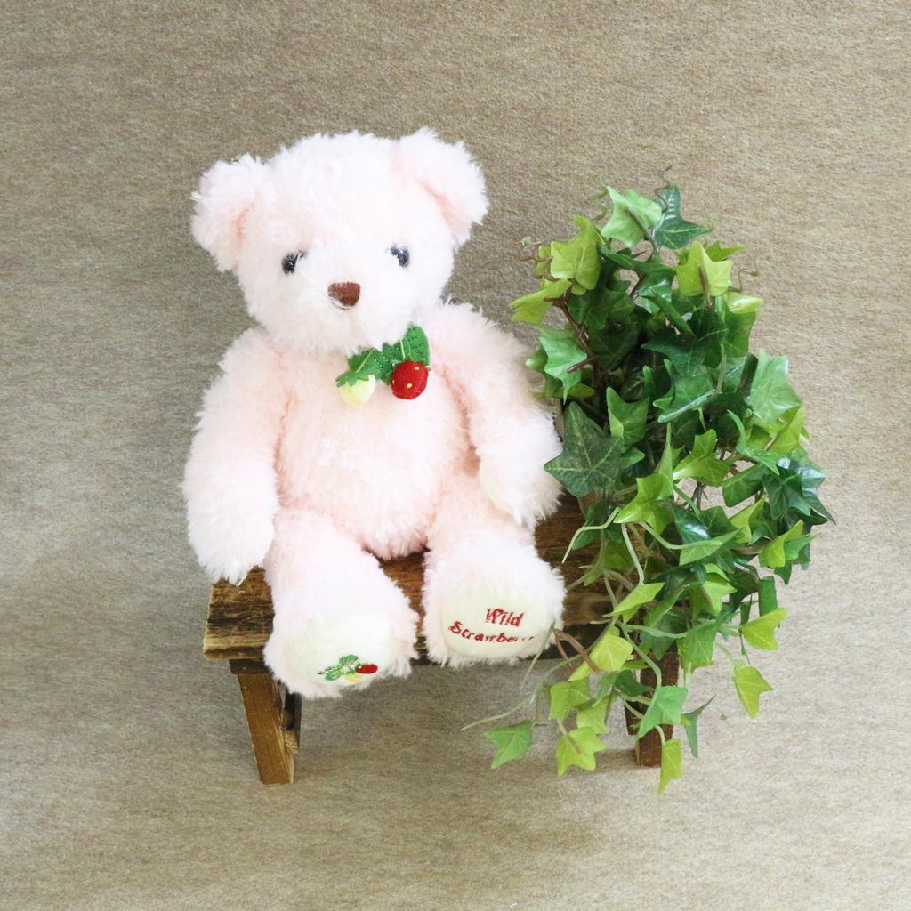 Wild Strawberry Bear S Pink
