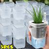 5/1pcs Transparent Self Watering Pots Automatic Absorbent Cotton Wick Plant Pot Garden Seedlings Flowerpot Nursery Cups Planters