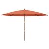 Ombrellone da Giardino su Palo di Legno, Color Terracotta, 400X273 Cm
