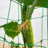 High-quality Garden Climbing Netting Strong PE Plant Trellis for Climbing Plants Loofah Morning Glory Flowers Cucumber Vine