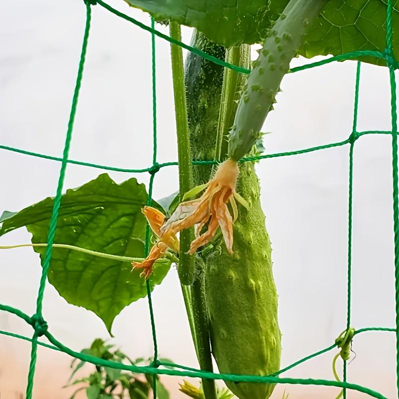 High-quality Garden Climbing Netting Strong PE Plant Trellis for Climbing Plants Loofah Morning Glory Flowers Cucumber Vine