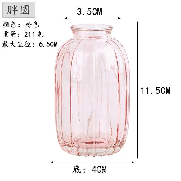 Decorative Flower Bottle Nordic Glass Vase Transparent Bud Vase Designed Hydroponic Plant Pot Living Room Decor Table Ornaments