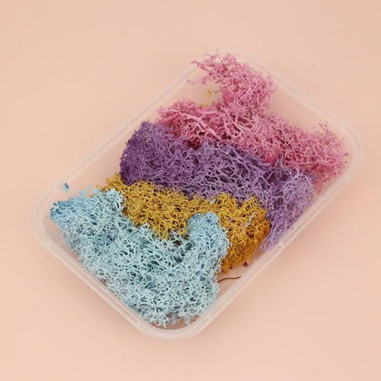 Useful Dried Flower Soft Pretty Decorative