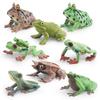 High Quality Decorative Frog Statues Including Red Eyed Tree Frog And Darwin Frog Models