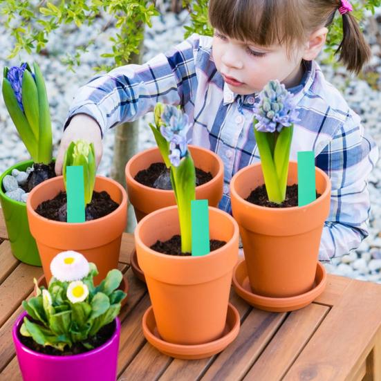 200 Adet Bitki Etiketleri Bahçe Bitki Tanımlama Etiketleri PVC Su Geçirmez Yazması Kolay Çok Renkli Bahçe Etiketleme İşaretleyicileri