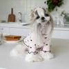 Herbst und Winter Haustier Unterwolle Kleidung bestickt Bär Waffel Home Weste Hund Katze Yorkshire Schnauzer Malteser Neujahr Weihnachten