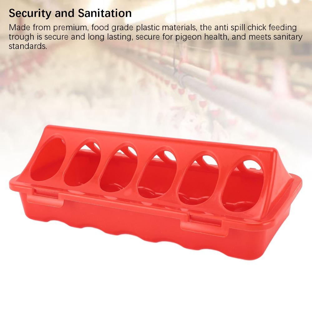 5Pcs Plastic Anti Spill Feeding Tray Sturdy Small Poultry Feeder Easy to Use Chick Feeder Quail