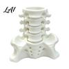Unique Office Accessories Simulated Spine Pen Desktop Organizer Skeleton Holder Creative Durable Novelty Container PLA 3D Printed Anatomy