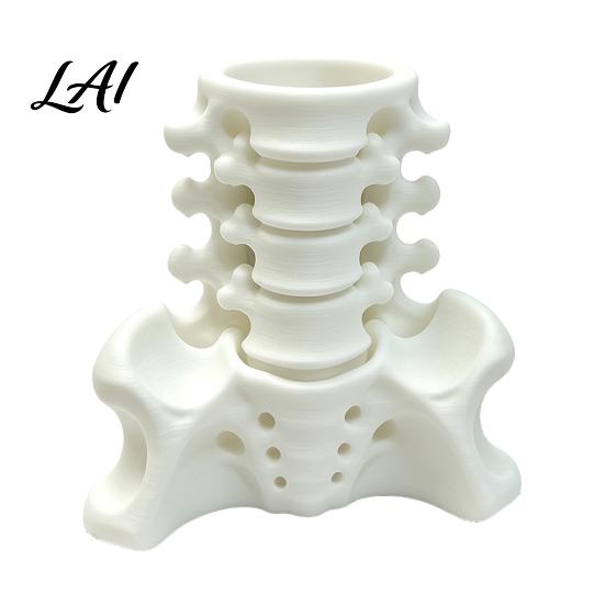 Unique Office Accessories Simulated Spine Pen Desktop Organizer Skeleton Holder Creative Durable Novelty Container PLA 3D Printed Anatomy