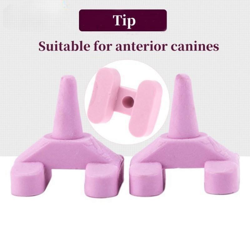 20pcs/set Dental Lab Ceramist Tool Ceramic Firing Pegs for Crowns and Bridges In Porcelain Furnace