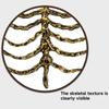 Gothic Style Skeleton Harness Lightweight Skeleton Costume Accessory Cosplay Costume Prop  Party