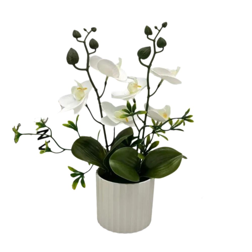 Multicolor Moth Orchid Artificial Flower Accessories White Flowerpot Faux Moth Orchid Potted Photo Props Plastic