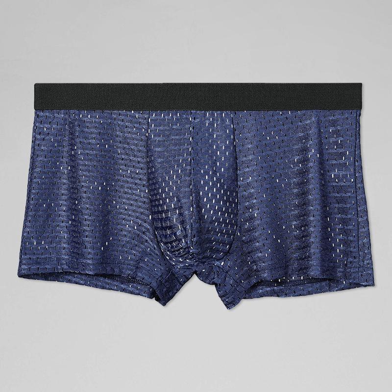Men's Ice Silk Mesh Breathable Boxer Briefs - Transparent, Sexy, Summer Thin