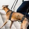 Handige hondenslingers Alle maten Honden Voor- en Achterpootondersteuning Tilharnas voor Gewonde Oude Hond Gehandicapte Huisdierbenodigdheid