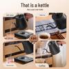 Temperature Control Gooseneck Electric Kettle