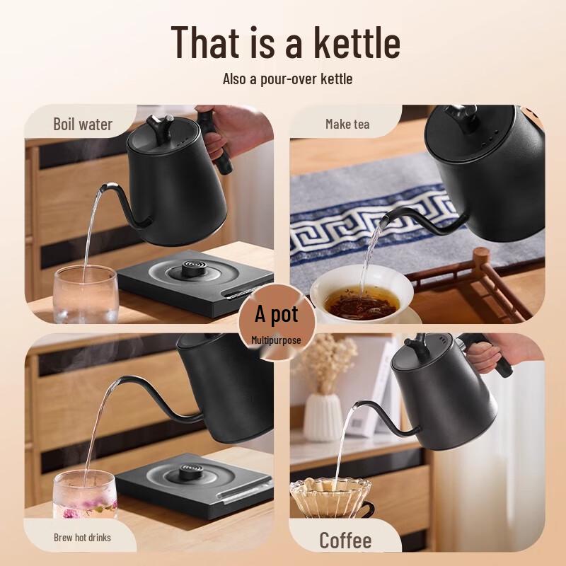 Temperature Control Gooseneck Electric Kettle