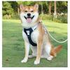 All-in-one Design Dog Leash Collar Set for Small Medium Dogs, Durable Braided Rope Slip Lead Pet Training Leash