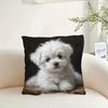 1Pc Cute Maltese Puppy Printed Throw Pillow Cover, Suitable For Sofa, Bedroom, Living Room, A Heartwarming Gift For Dog Lovers.