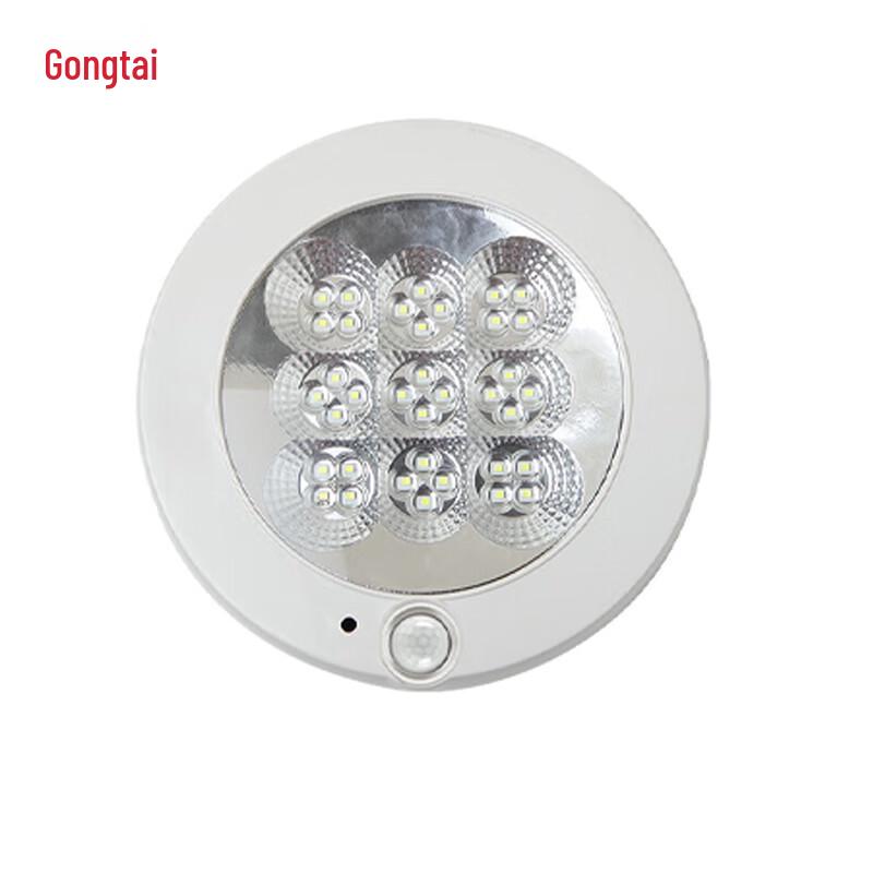 Gongtai LED Motion Sensor Ceiling Light