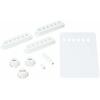 Fender Vintage-Style Stratocaster Accessory Kit, Aged White, 991362000