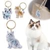 Cartoon Cat Hair Storage Charm For DIY Gifts Keychain With Hair Storage Hanging Pendant Cats Hair Storage Container