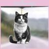 Whimsical Acrylic Black Cat Car Hanging Decoration For Pet Lover's Interior Accessory
