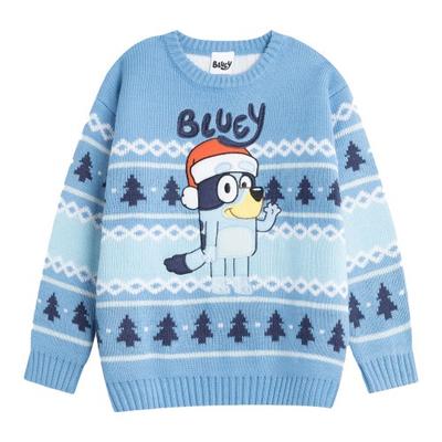 Bluey Boys Character Christmas Jumper