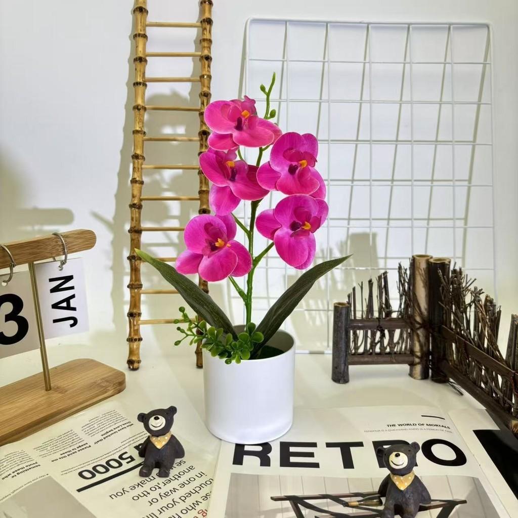 Artificial Plastic Phalaenopsis Flower Bonsai For Event Decoration Home Styling