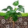 500g/pack Leca Balls Clay Pebbles For Plants, Clay Pebbles For Hydroponic Growing,