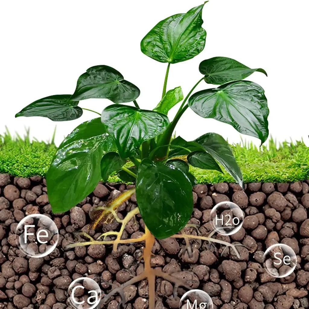 500g/pack Leca Balls Clay Pebbles For Plants, Clay Pebbles For Hydroponic Growing,