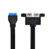 CHENYANG Dual Port USB Motherboard Panel Type 20p Cable 50cm 3.0 -