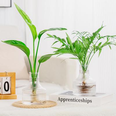 Hidroponik Saksı Ev Vazo Dekorasyonu Şeffaf Plastik Topraksız Saksı Yeşil Saksı Ev Dekorasyonu