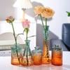 6Pcs Transparent Colored Glass Vase Hydroponic Plant Flower Bottle Nordic Style Living Room Home Office Desktop Decoration