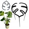 Pflanzenblumen-Stütze Ring-Klammer Stütze Ring Monstera M 33cm