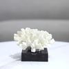 Modern minimalist geometric resin white coral art decorative ornaments porch study TV cabinet home decor