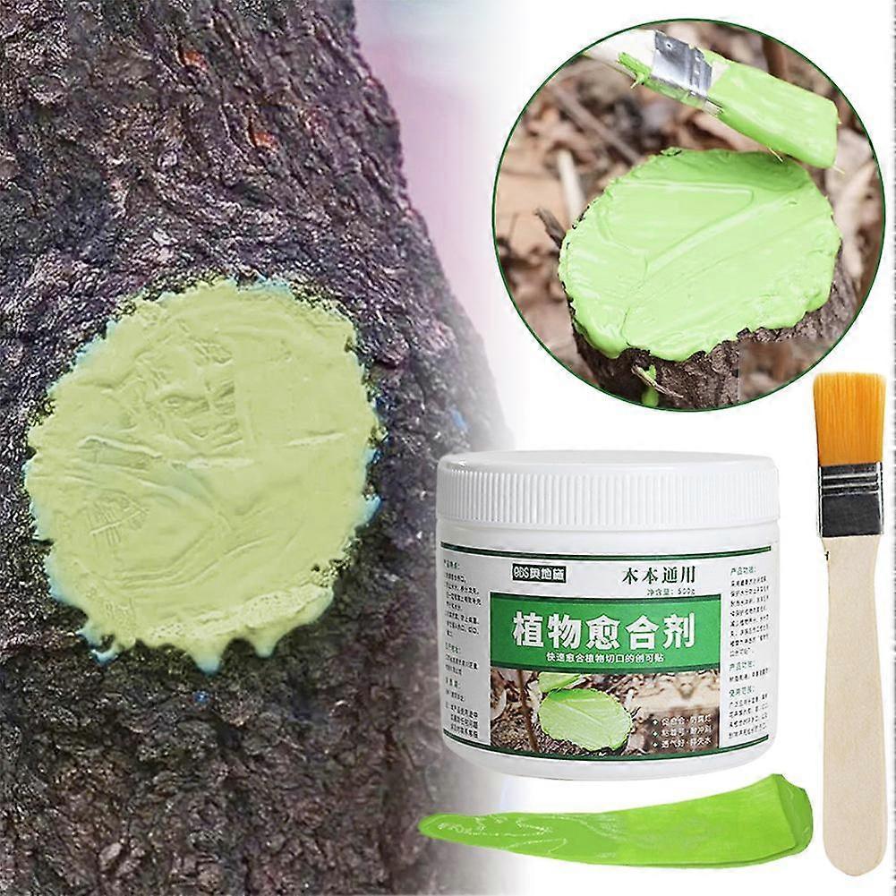 Pasta Sigillante per Ferite di Alberi Bonsai con Pennello