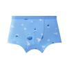 Boys' Antibacterial Cotton Boxer Briefs - Baby To Large Kids