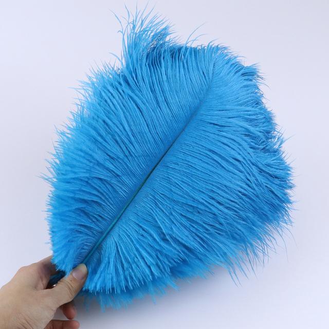 20Pcs Natural Ostrich Feather 15-20cm for Wedding Carnival Home Party Decoration DIY Handicraft Accessories Table Centerpieces