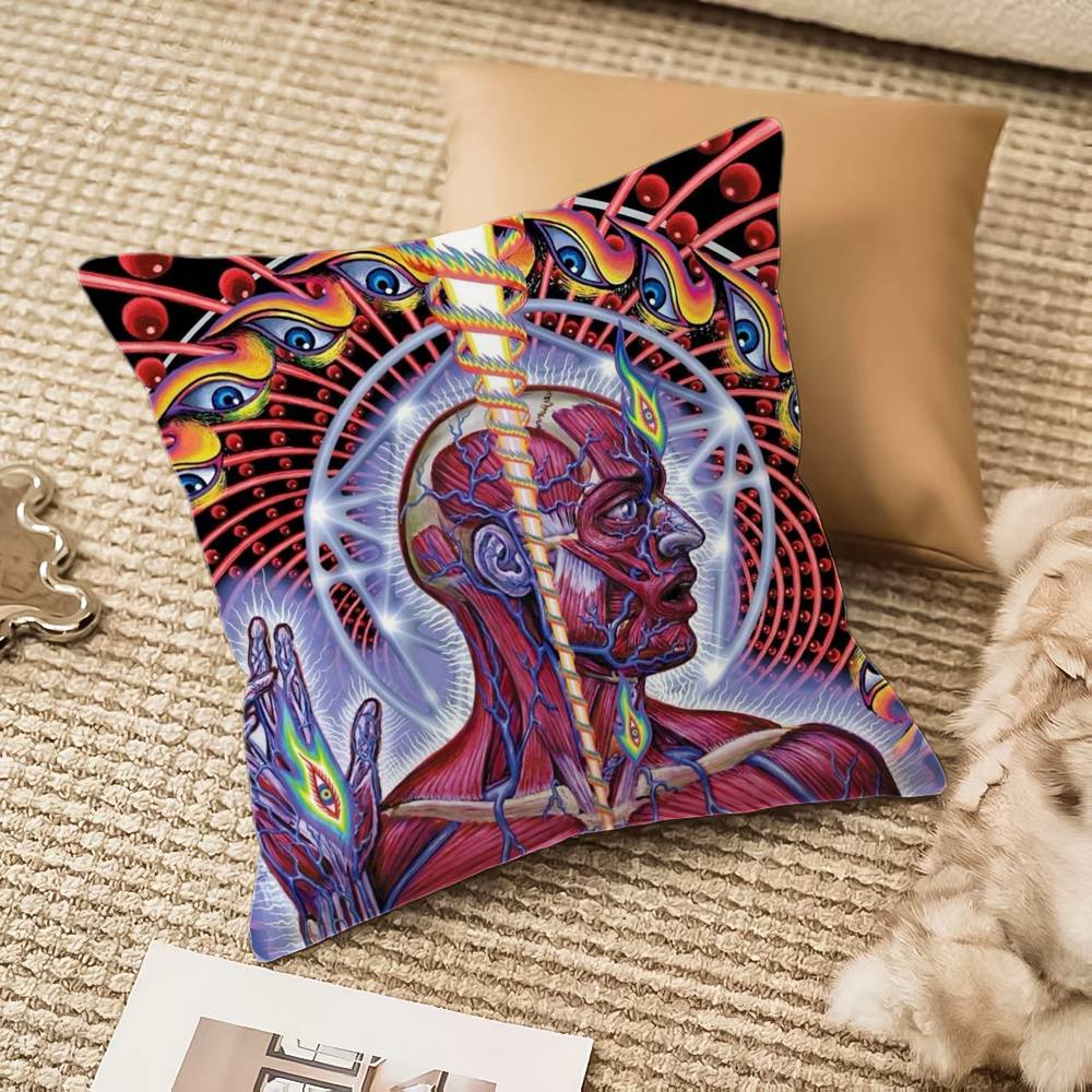 

A-Alex Grey Trippy Psychedelic Pillow Case Anti-dustmite Invisible zipper Sofa Bed 12x12Inch