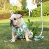 Verstellbares Nylon-Mesh Französische Bulldogge Geschirr Leine Set Niedliches Bedrucktes Welpen Katze Geschirr Weste Leine Für Kleine Mittelgroße Hunde Mops